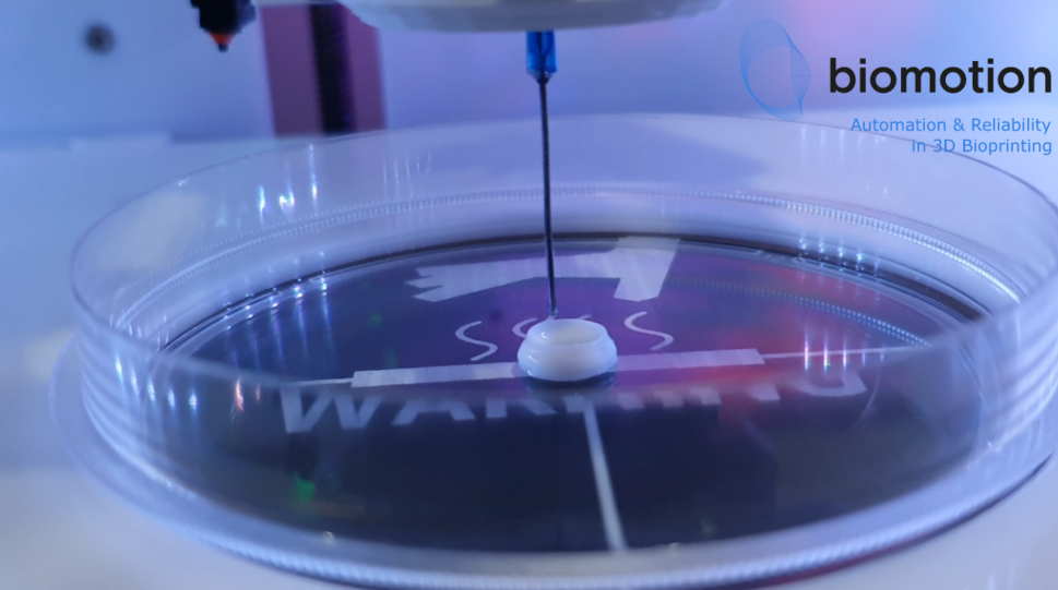 Das Bild zeigt eine Petrischale mit einem Produkt aus Biodruck. In der geschlossenen Petrischale ist ein pillenförmiger weißer Fleck zu sehen. © Biomotion Technologies