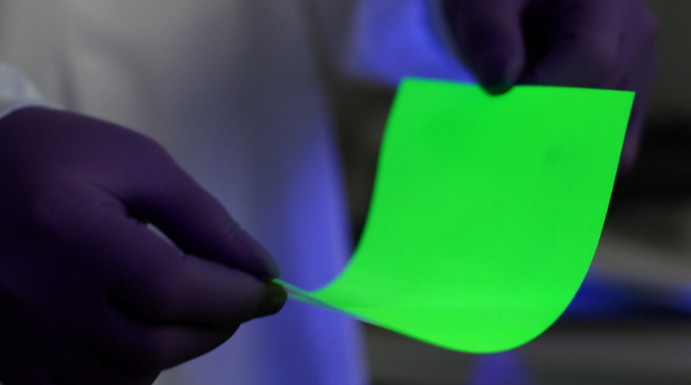 Das Bild zeigt die Hände einer Person in einem Laborumfeld, die eine biegsame leuchtend grüne Folie hält. Dabei handelt es sich um BrightLeaf™, einen ultraschnellen Szintillator von BrightComSol. Die Person trägt lila Schutzhandschuhe. Die leuchtend grüne Farbe des Materials zeigt, dass es fluoreszierende Eigenschaften hat. Szintillatoren beginnen farbig zu leuchten, wenn sie unter bestimmten Lichtbedingungen betrachtet werden, was sie relevant für die Detektion von ionisierender Strahlung macht. © BrightComSol